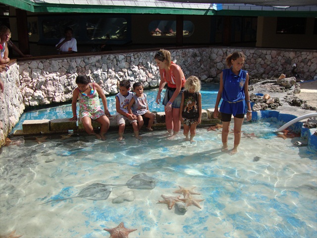 Sea aquarium Curacao