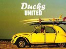 Duck united Curacao